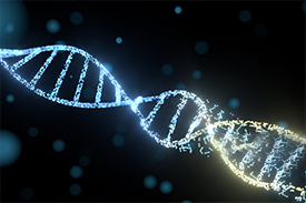 RNA pull down 